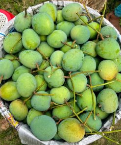 গোবিন্দভোগ আম ২২ কেজি প্যাকেজ
